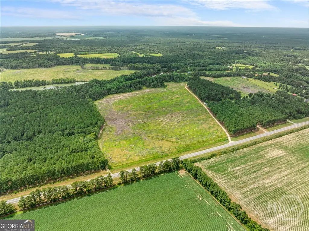 19.13 Acres Highway 301 N, Statesboro