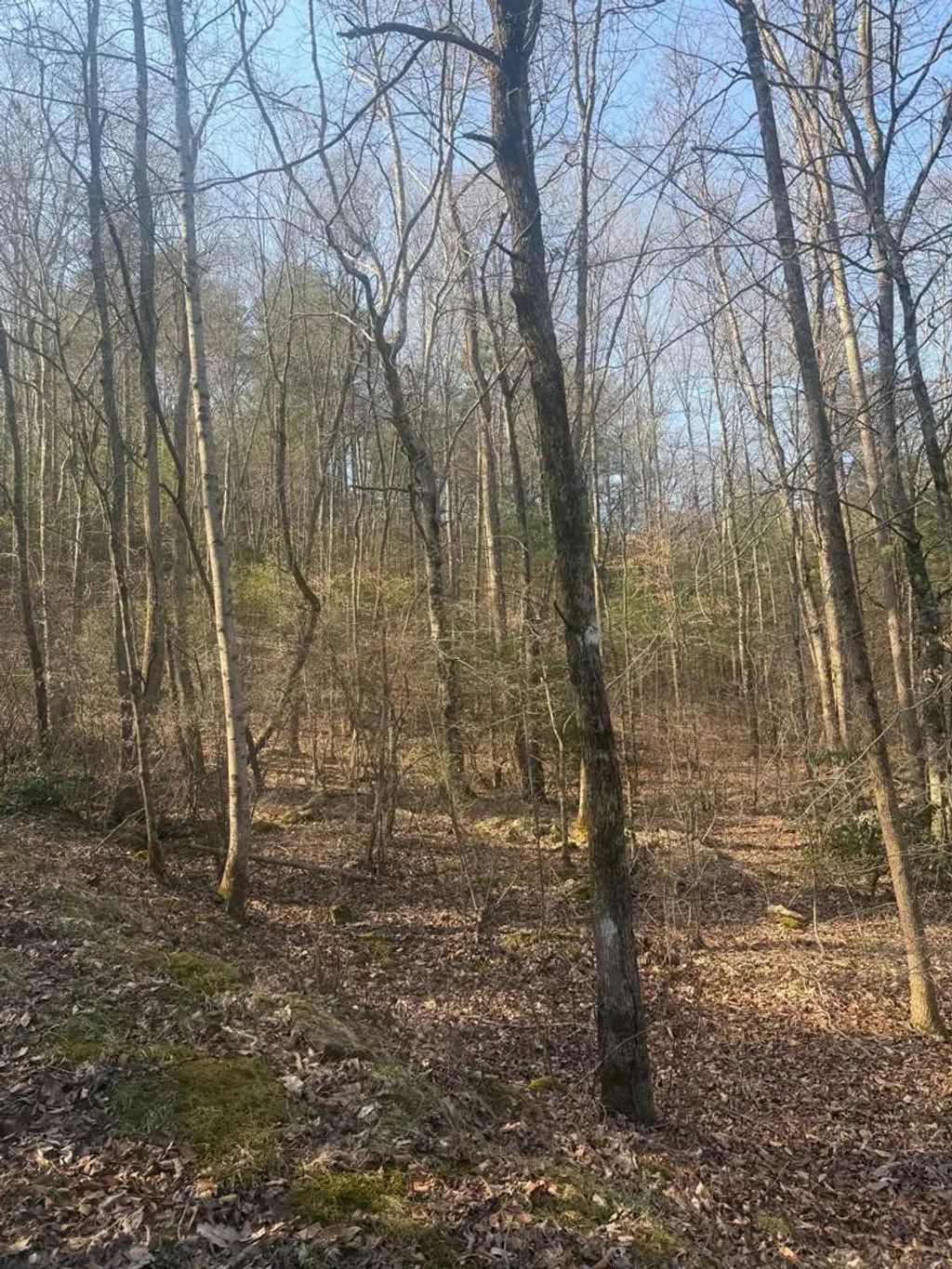 Lot 12 Rainbow Valley Drive, Hiwassee Dam