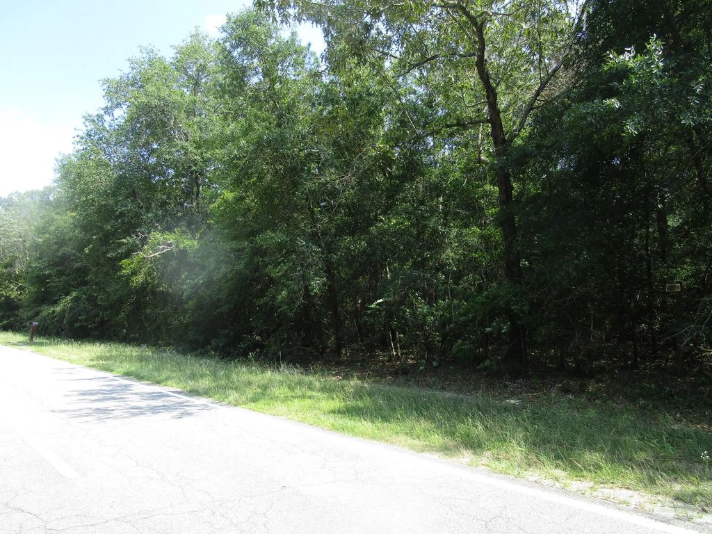 1436 Hephzibah Mcbean Road, Richmond