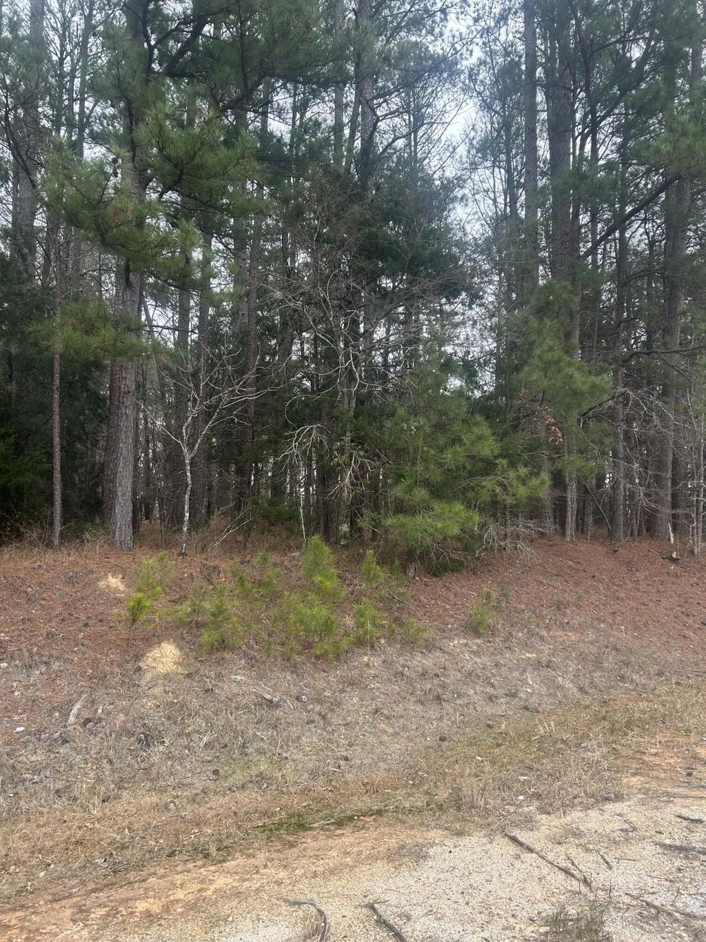 16.9 Ac Hwy 220 E, Lincolnton