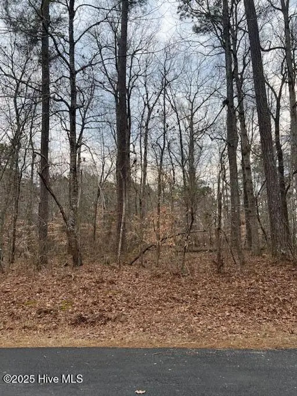 00 Dogwood Dr., Hertford
