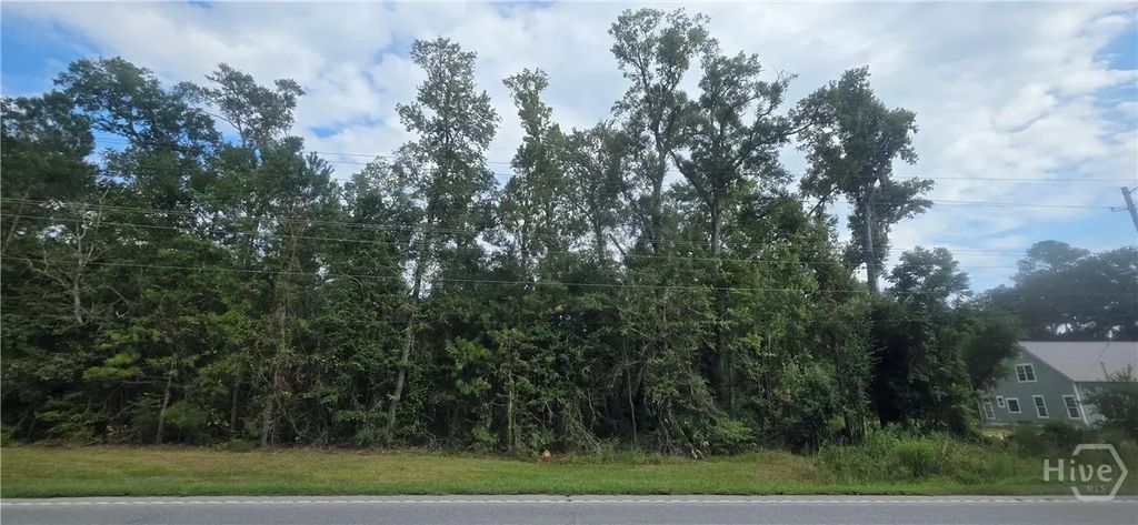 2440 Ga Highway 119 S, Guyton