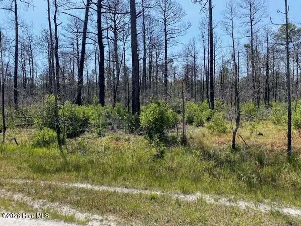 799 Jasmine Road, Boiling Spring Lakes