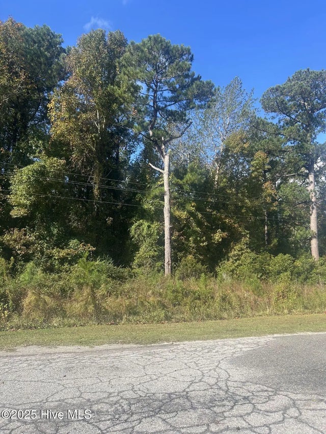 000 Park Lane, Sneads Ferry