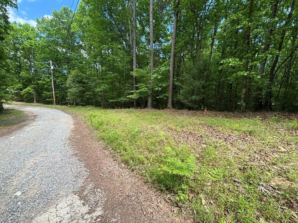 Lot 1b Forest Lane, Culberson