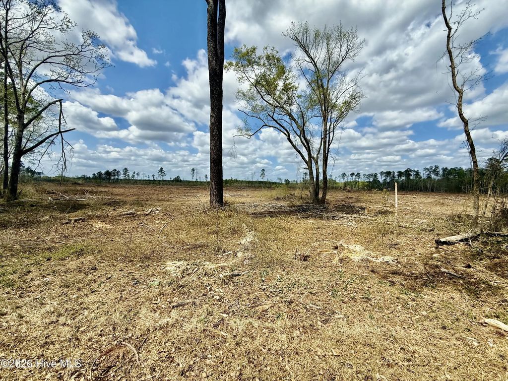 Tbd Old Lowery Rd, Red Springs