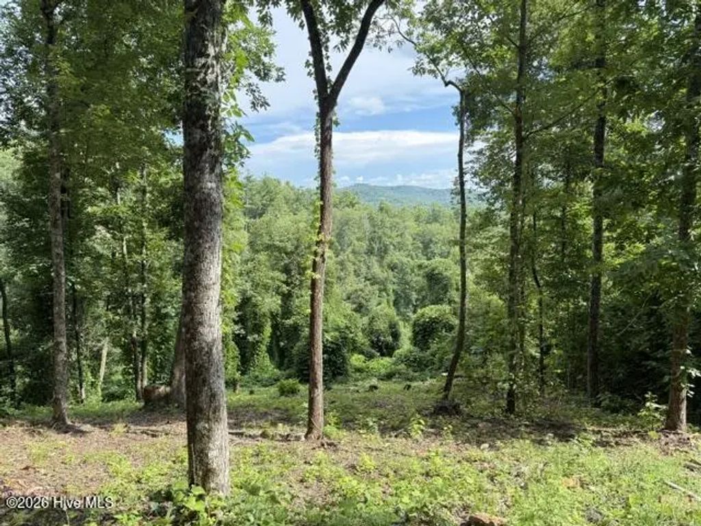 Lot 25 Bryson Creek Drive, Murphy