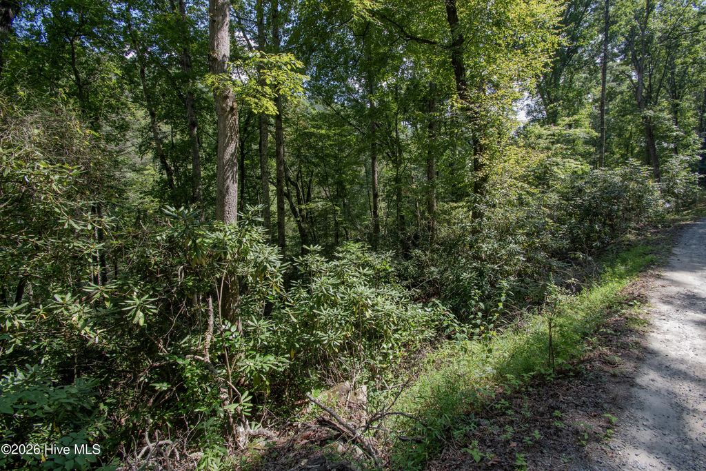 8 Snowbird Woods Road, Robbinsville