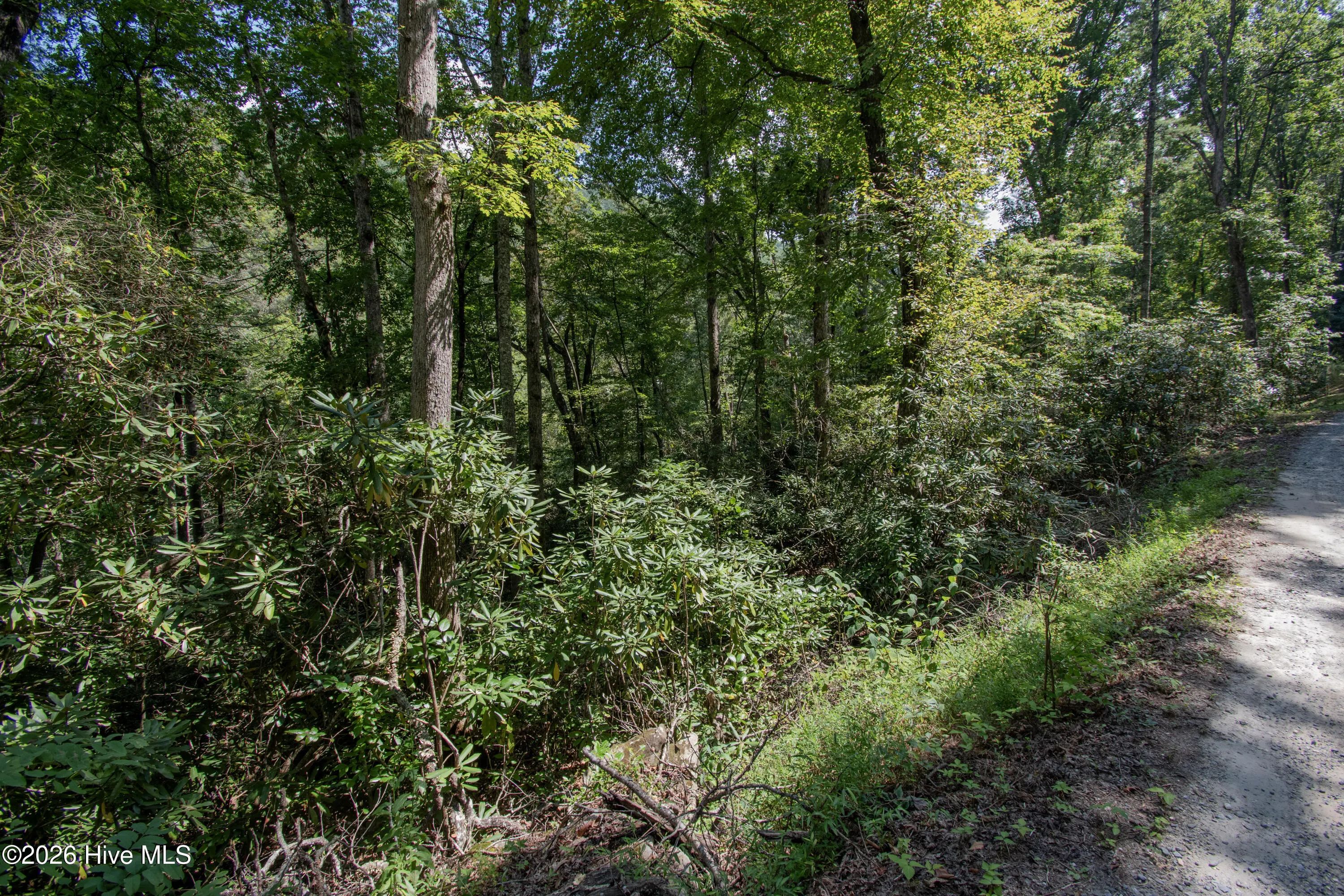 8 Snowbird Woods Road, Robbinsville