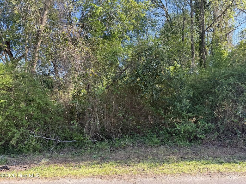 2509 New Bern Avenue, New Bern