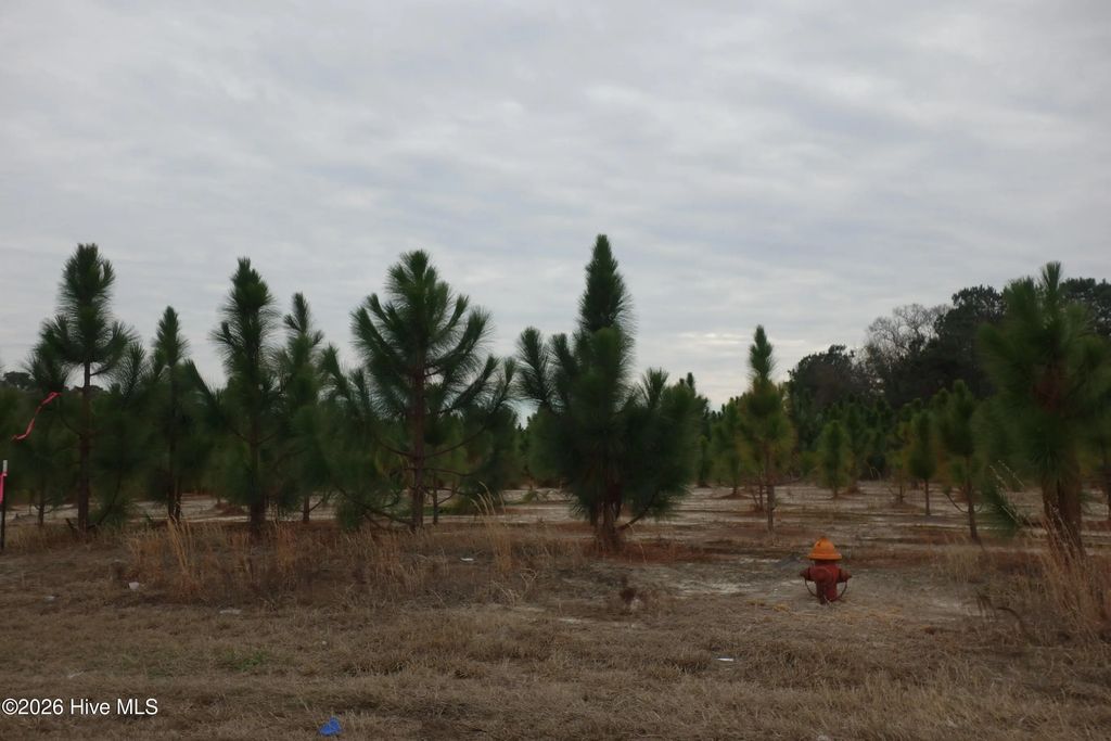 Lot 41 Stuarts Mill Road, Fairmont