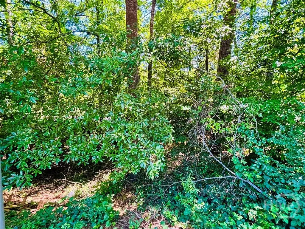 100 Saxon Woods Drive, Athens