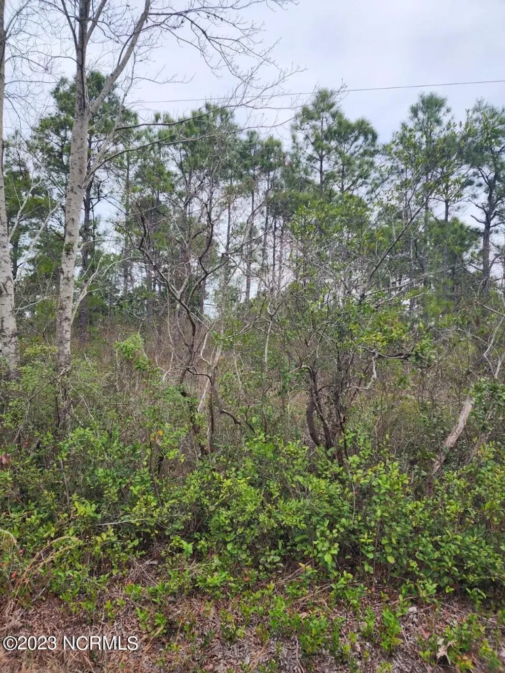 Lot 8 Pennsylvania Avenue, Rocky Point
