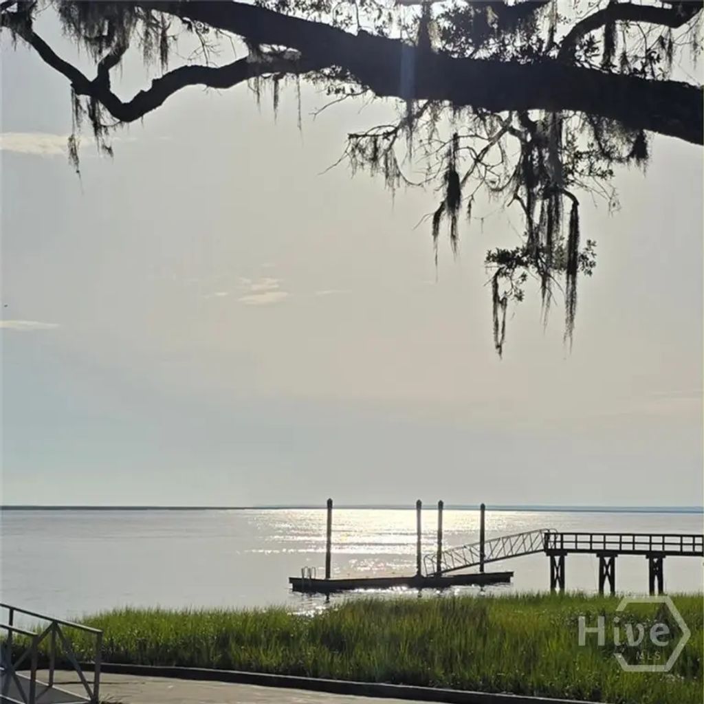 Lot 124 Sapelo Circle, Townsend