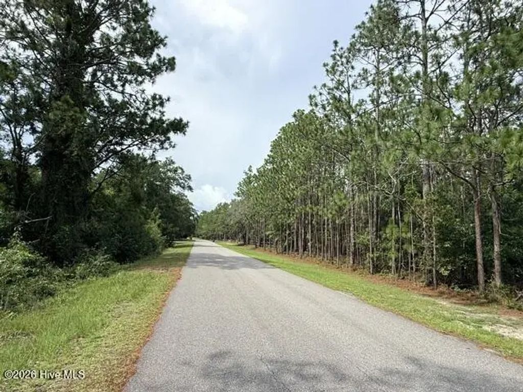 L-26 & 27 Eden Drive, Boiling Spring Lakes