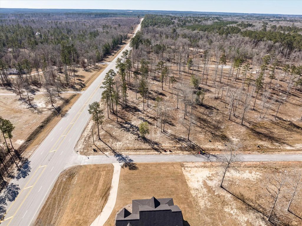 111 Alcovy Road, McDuffie