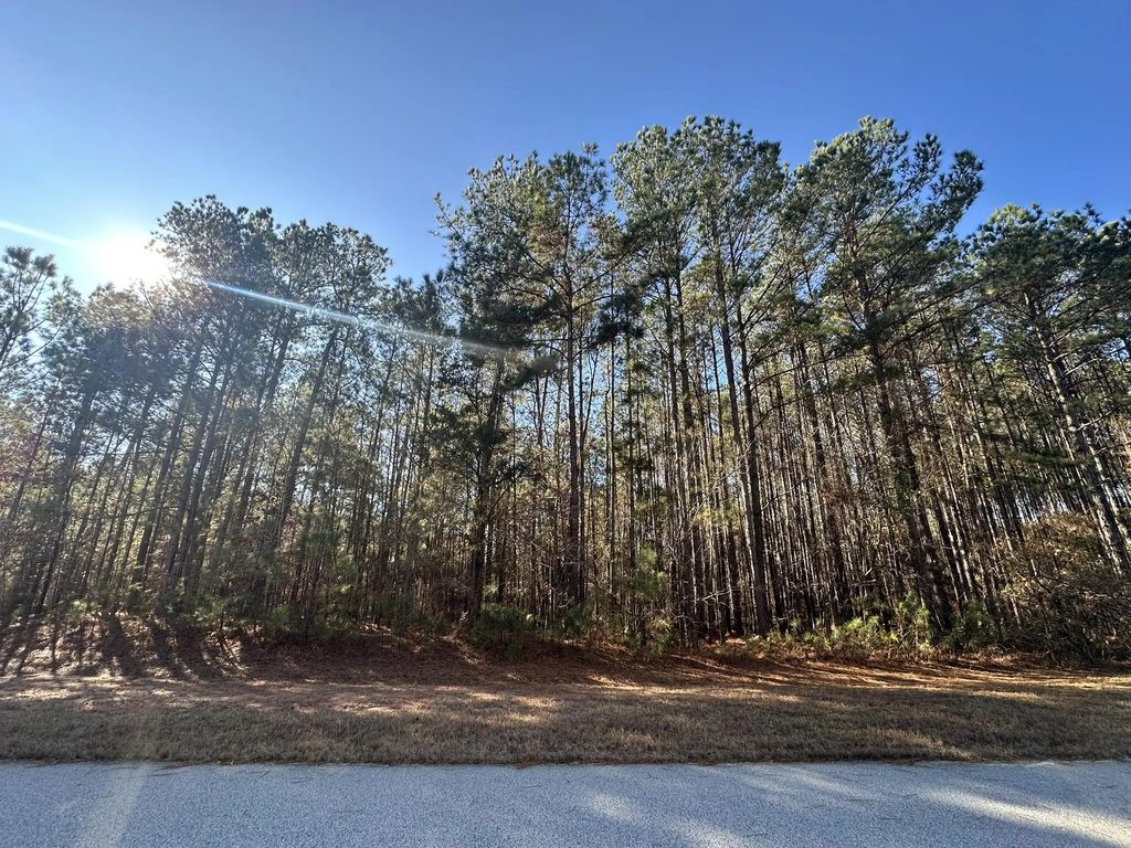 1252 Rogers Road, Lincoln