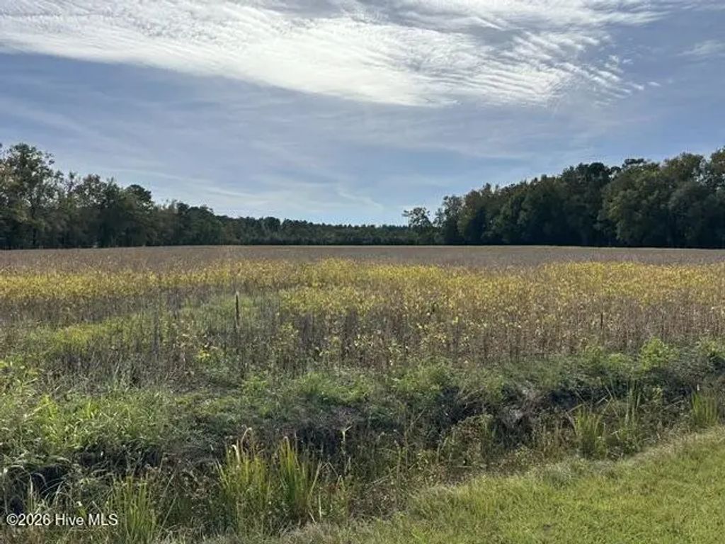 721 Joe Piver Road, Chadbourn