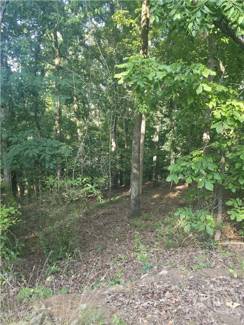 330 Caldwell Circle, Athens