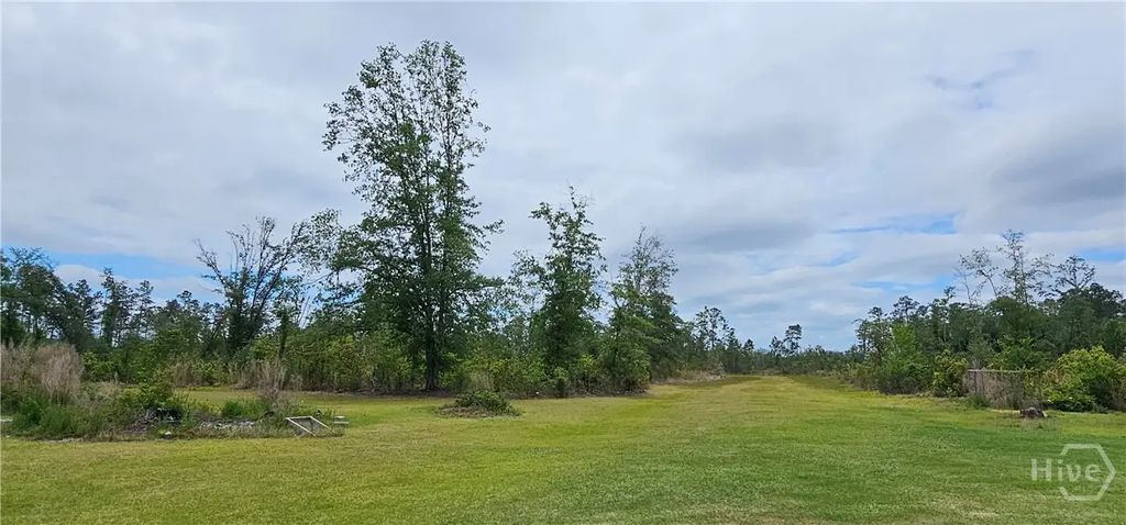 13637 Hwy 23, Glennville
