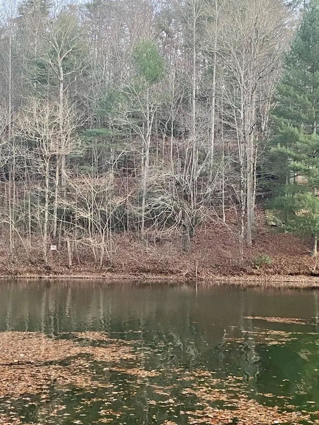 Lot 5 The Landings, Lake Santeetlah