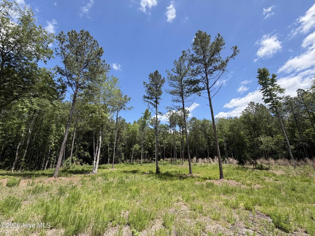979 Aiken Road, Vass