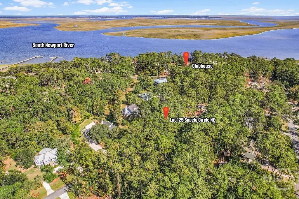 Lot 125 Sapelo Circle Ne, Townsend