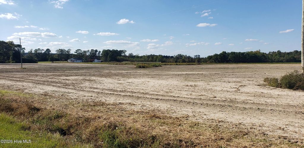 510 Mitchell Loop Road, Roseboro