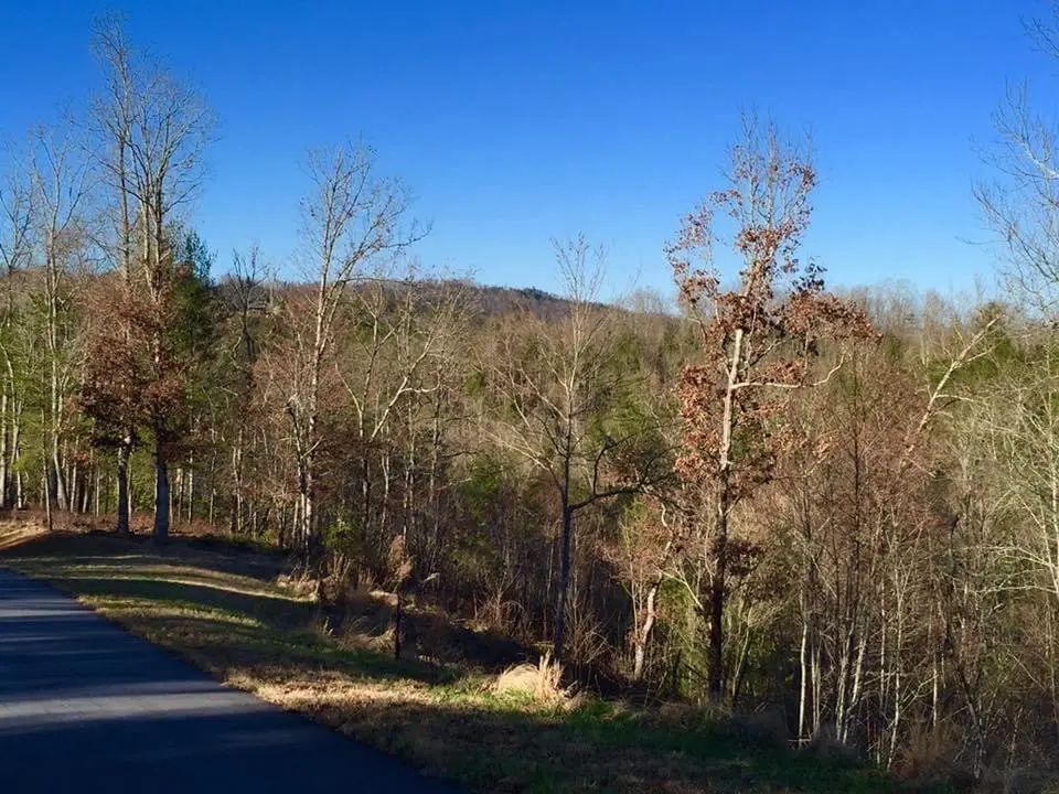 Lot #94 River Mountain Road, Murphy