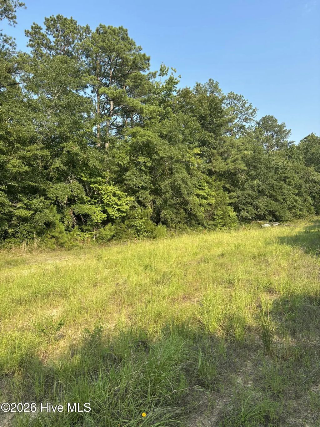 00 Magnolia Church Road, Gibson