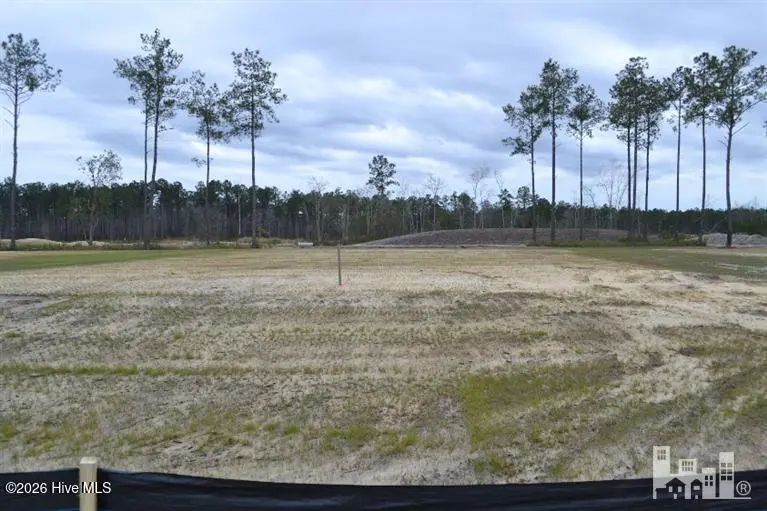 3080 Hidden Marsh Circle, Leland