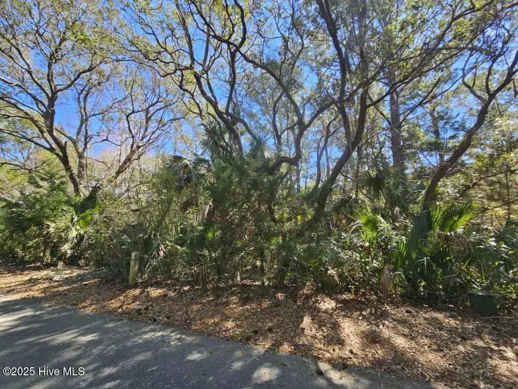 32 Dowitcher Trail, Bald Head Island