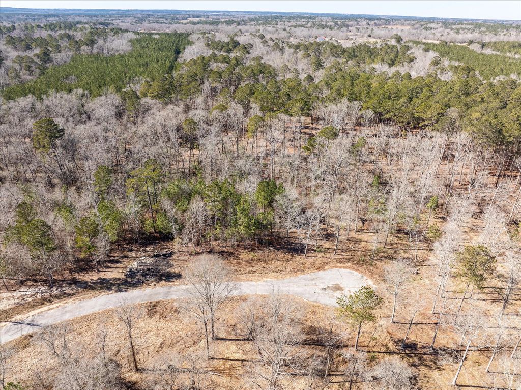 141 Gin Branch Road, McDuffie