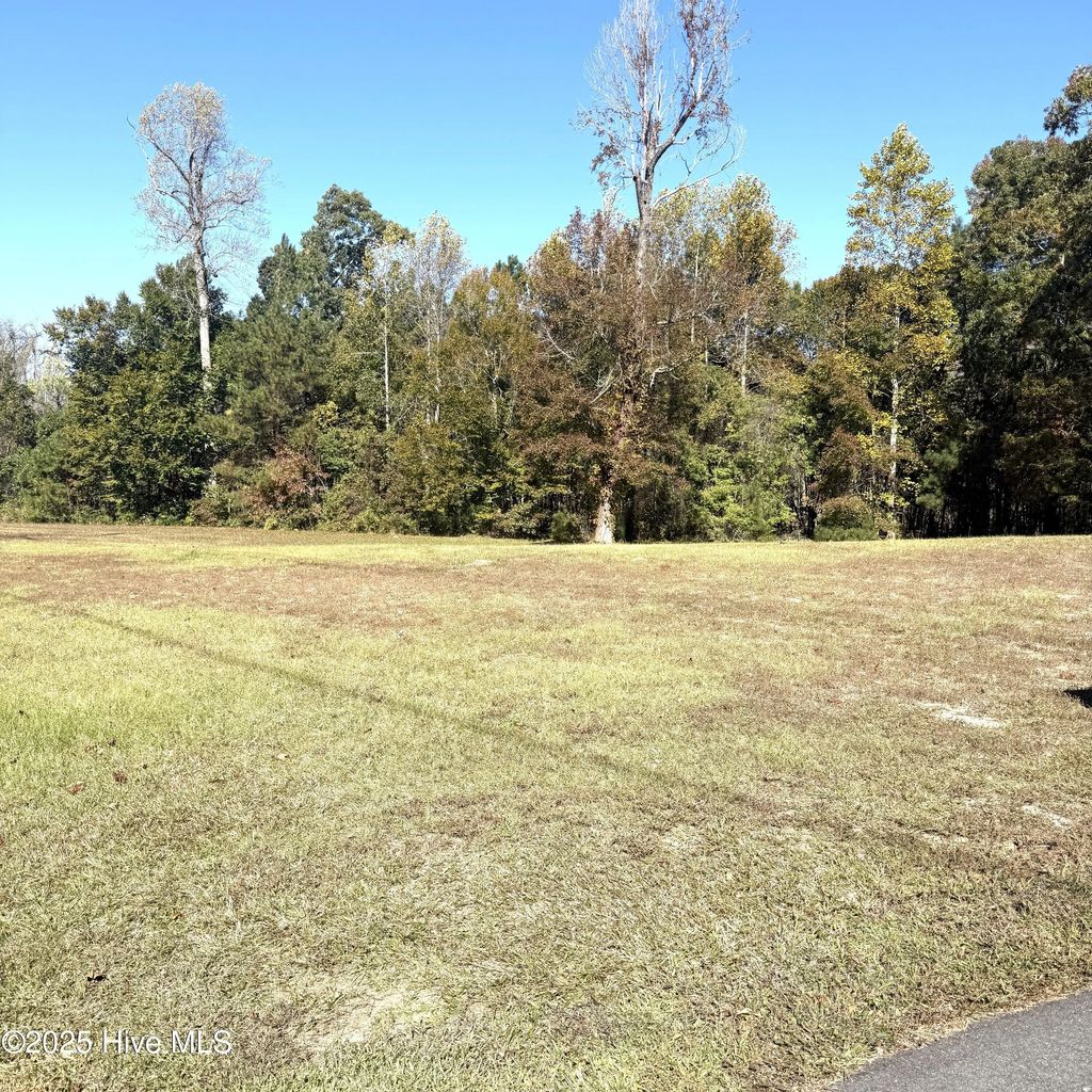 212 Deer Path Trail, Edenton