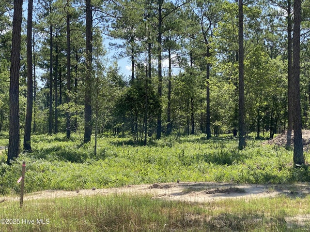 8750 Compass Pointe West Wynd Ne, Leland