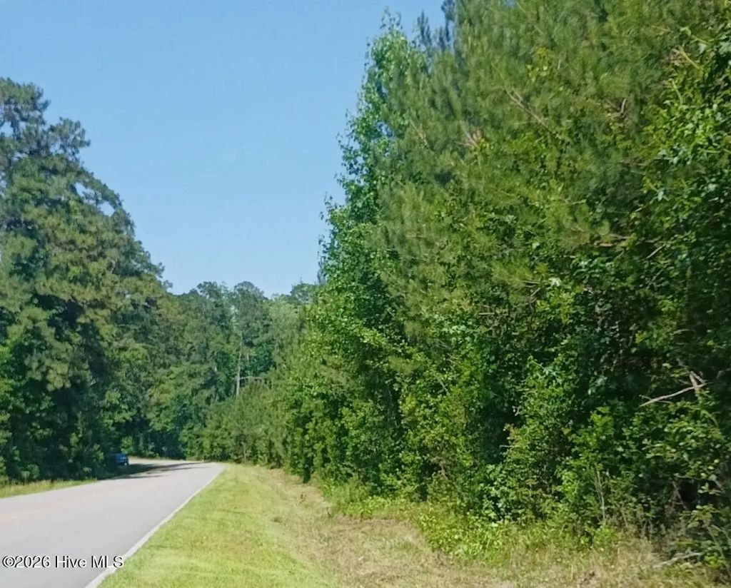 82 Acres Point Caswell Rd Road, Atkinson