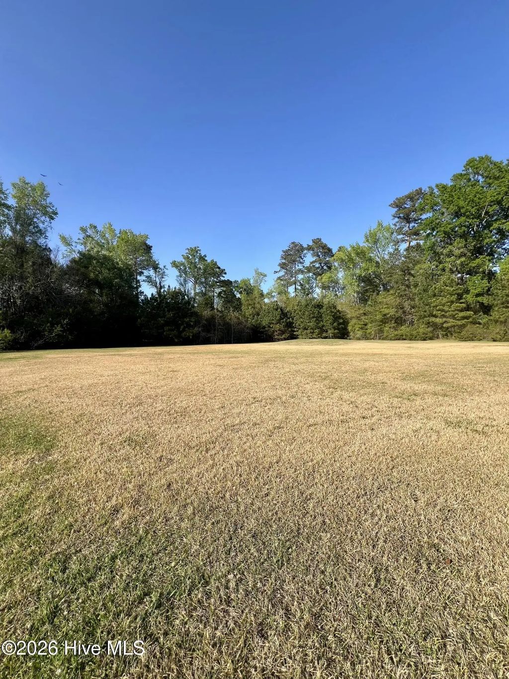 Near 659 Evergreen Street, Whiteville