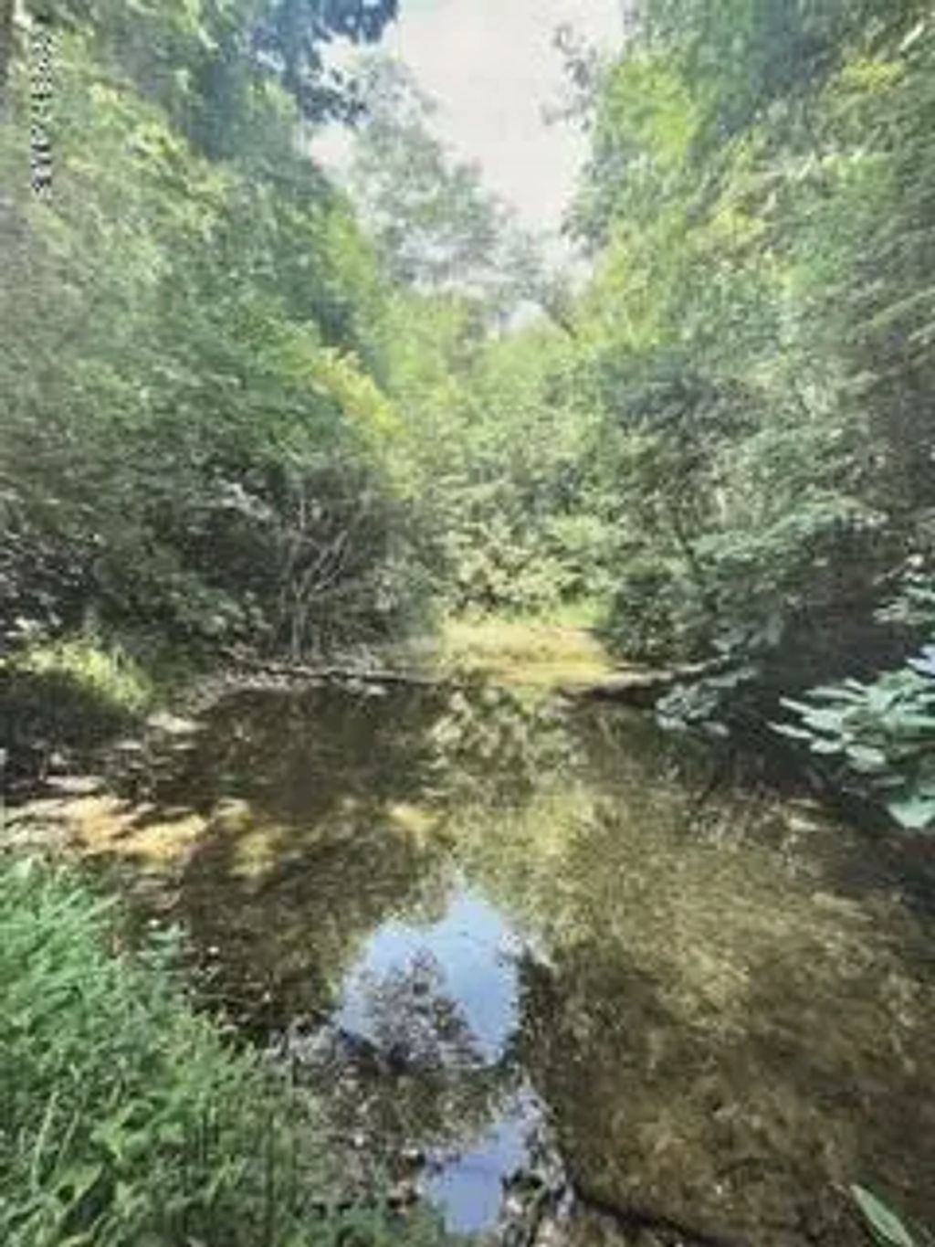 6 Hidden Lakes Road, Nantahala