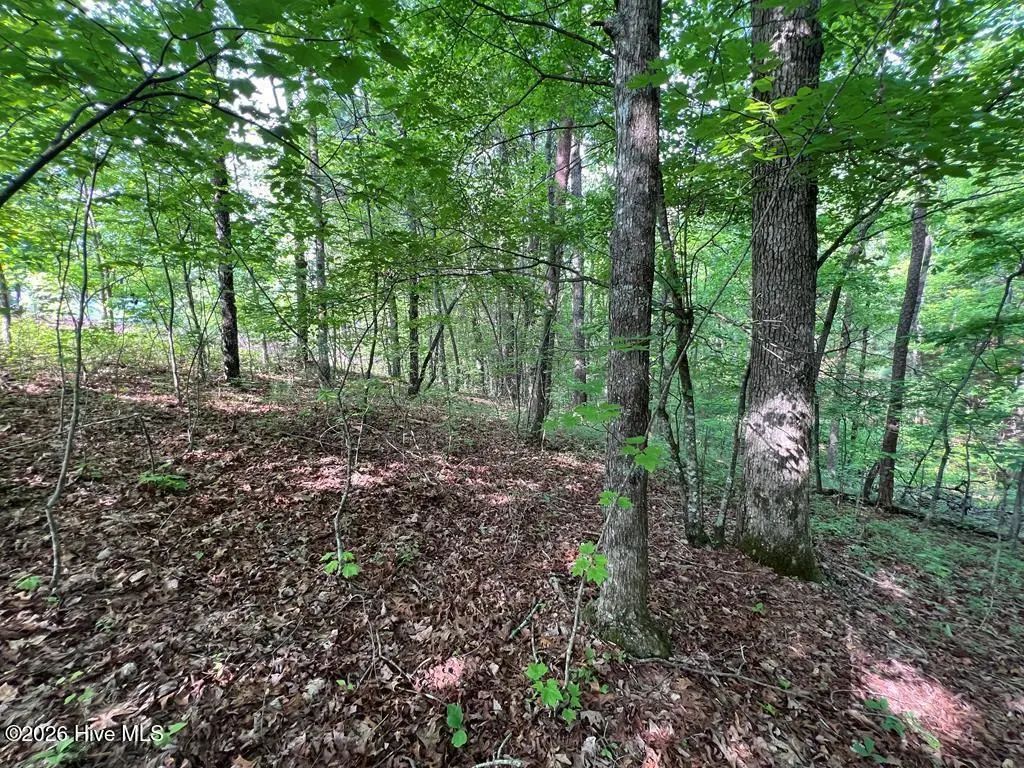 Lot 1 Leonard Lane, Murphy