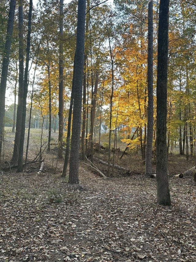 5-3 Long Cove Drive, 