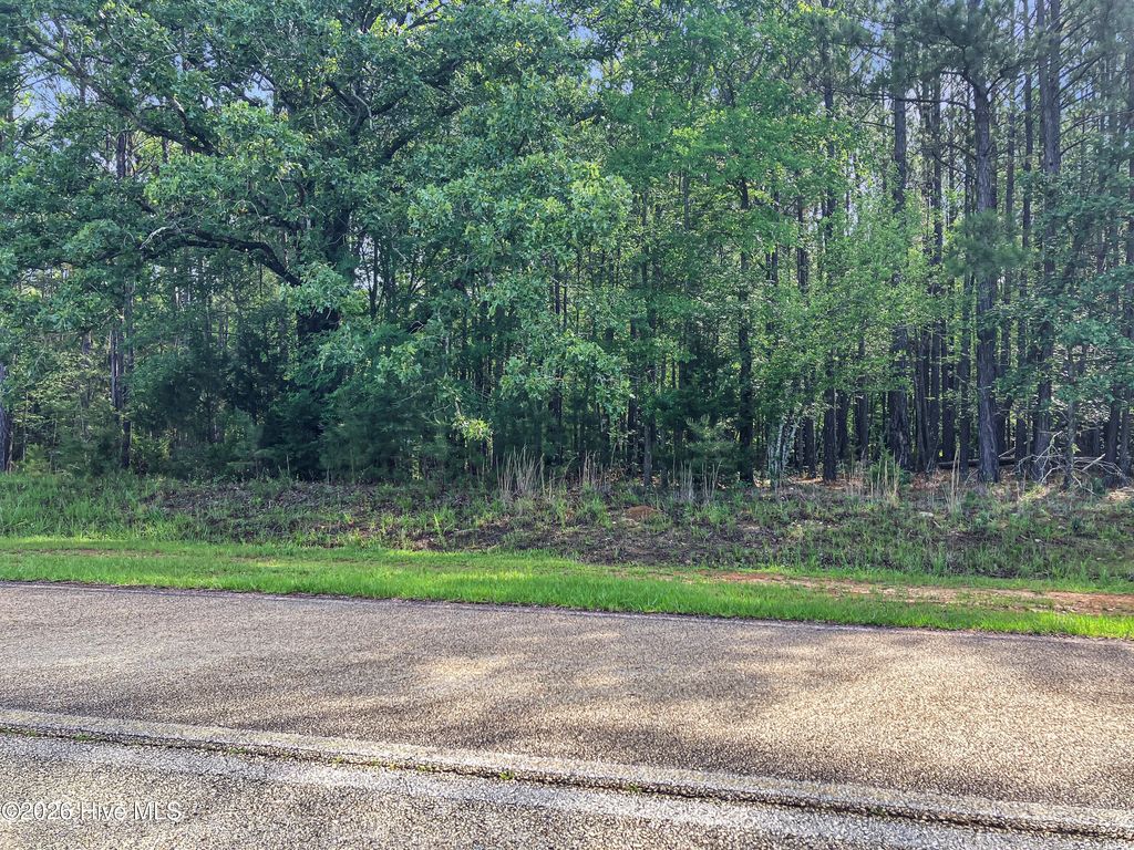 1048 Clinton-williams Road, Lincolnton