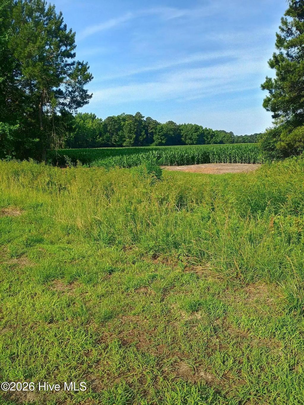 289 Grists Road, Chadbourn