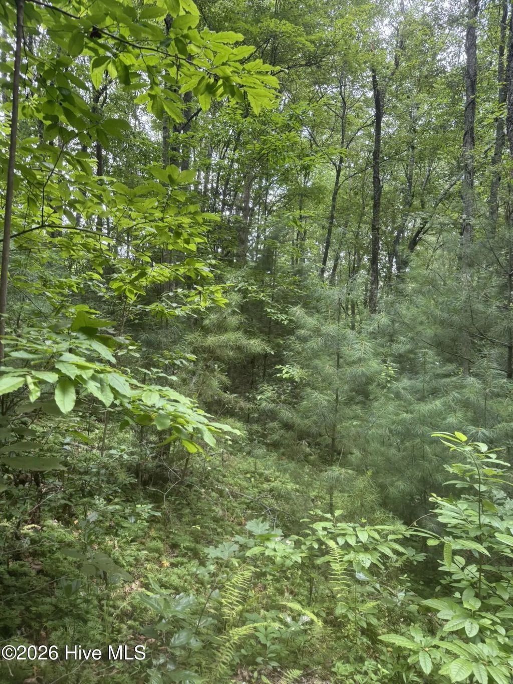 12,13 Camp Creek Estates Drive, Murphy