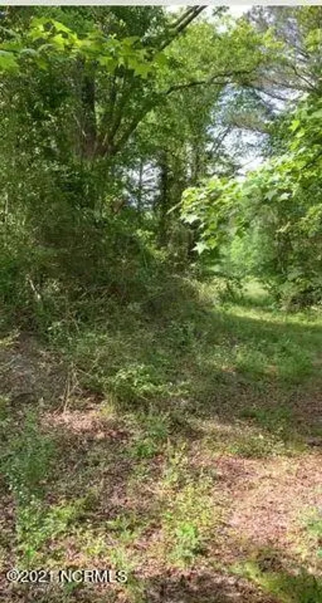 Tbd W Hamlet Avenue, Hamlet