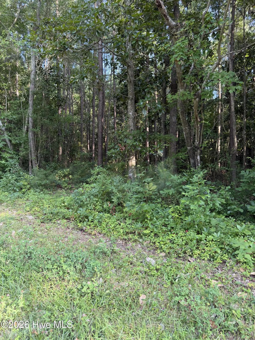 1185 Green Springs Road, New Bern