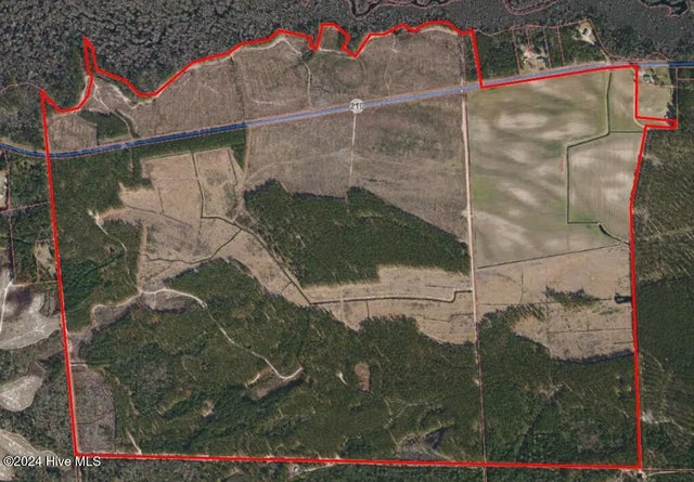 556.18 Ac Nc 210 Hwy, Currie