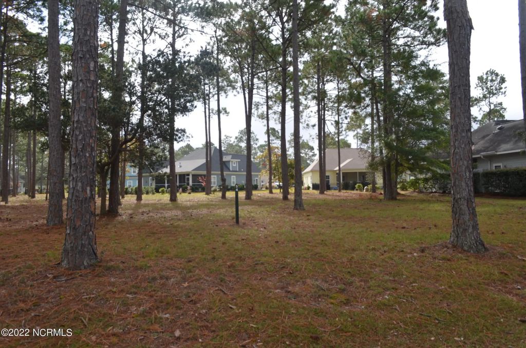 305 Planters Ridge Drive Sw, Sunset Beach
