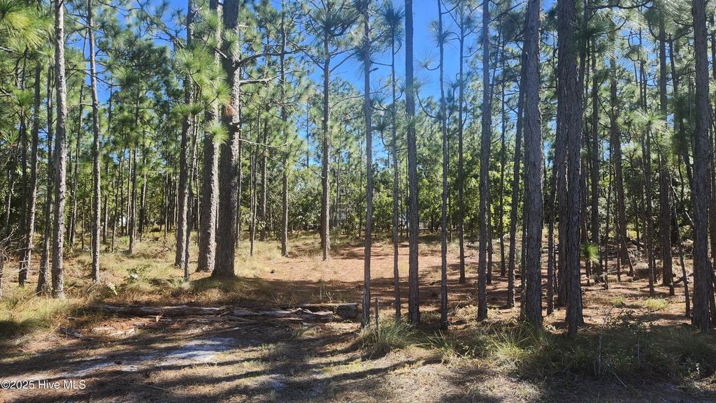 Lot 303 Mission Road, Boiling Spring Lakes