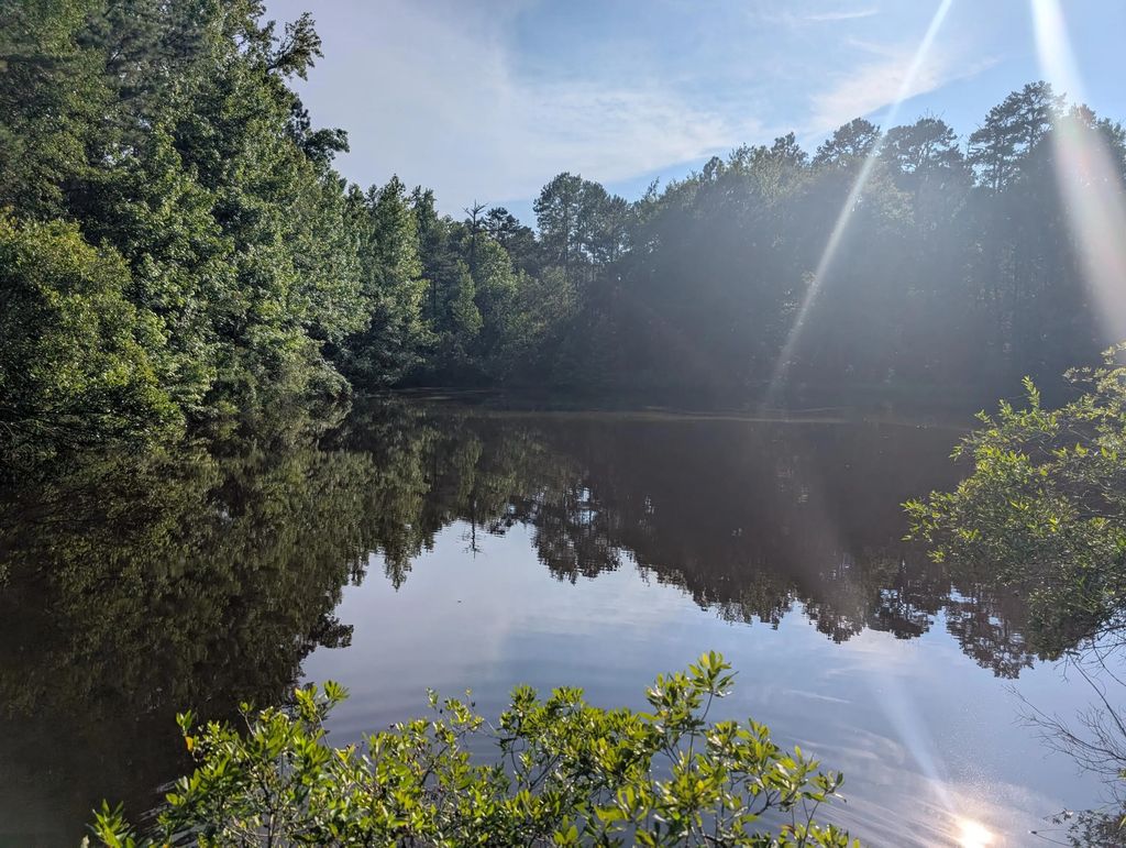 3085 Marshall Road, Columbia