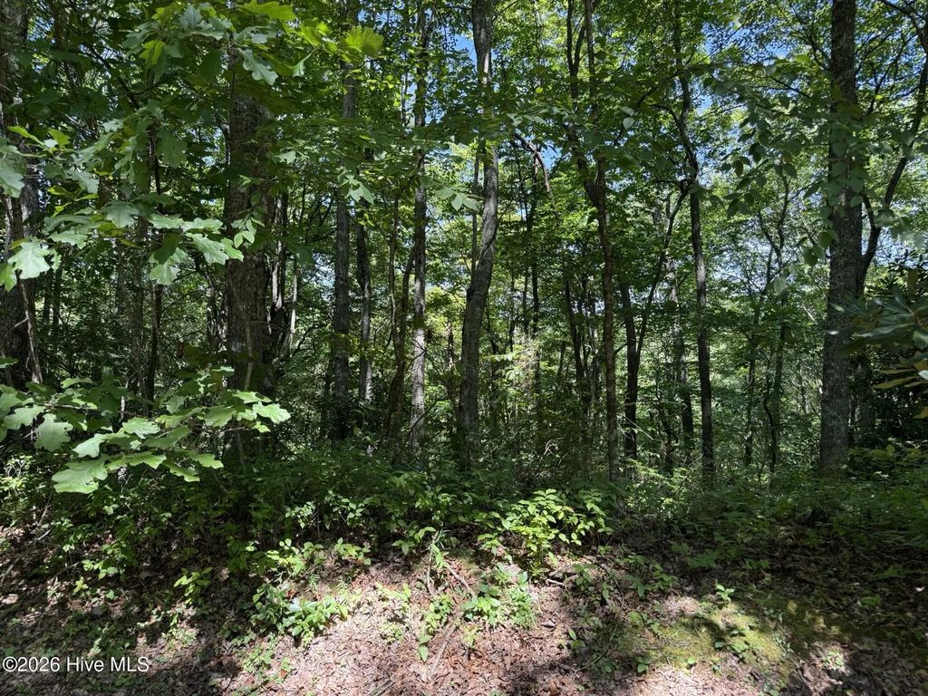 Lot 3 Amber Lane, Topton